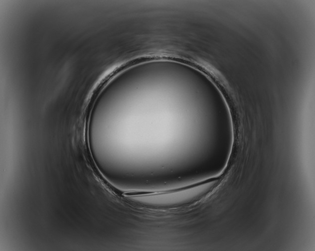 X0000085791224200703231300
