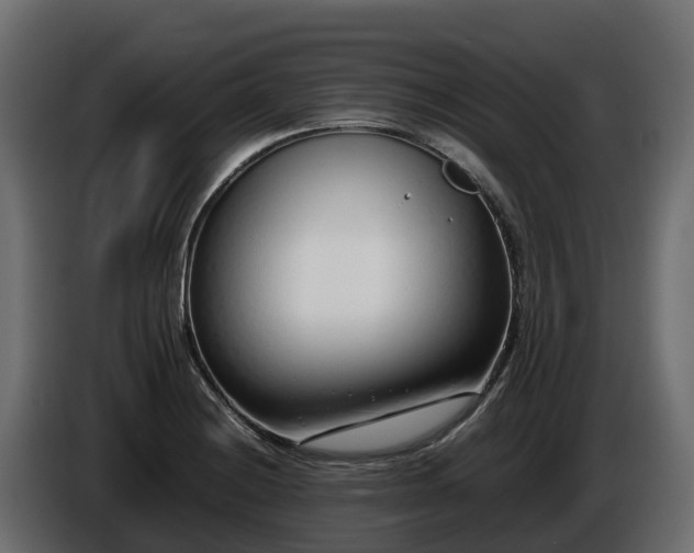 X0000085791228200703231300