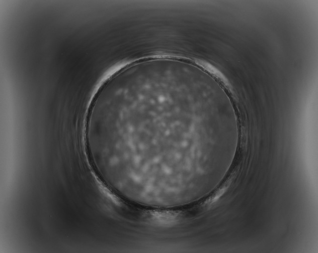X0000085791231200703231301
