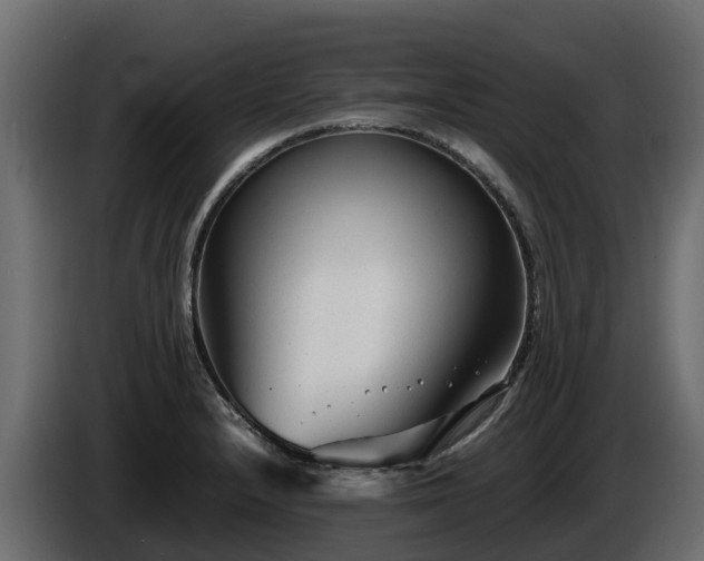 X0000085791232200703231301