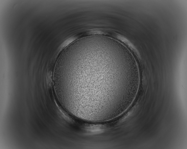 X0000085791233200703231301