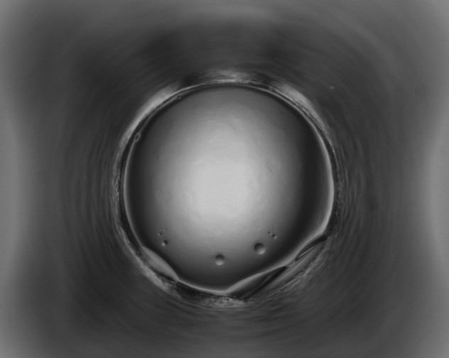 X0000085791235200703231301