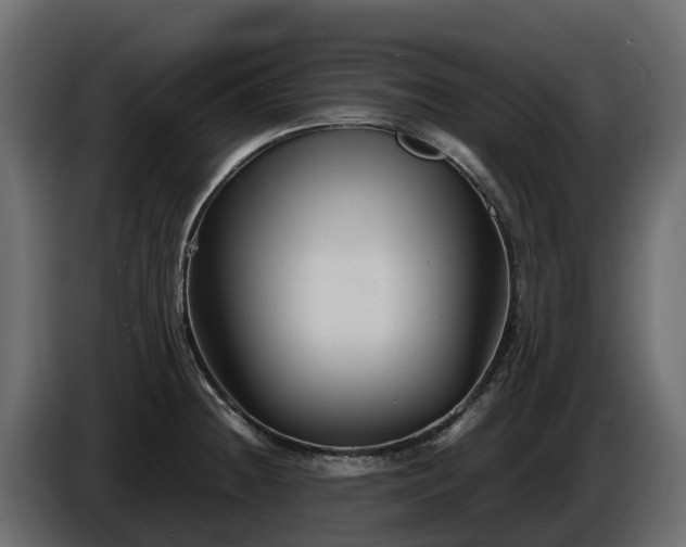 X0000085791236200703231301