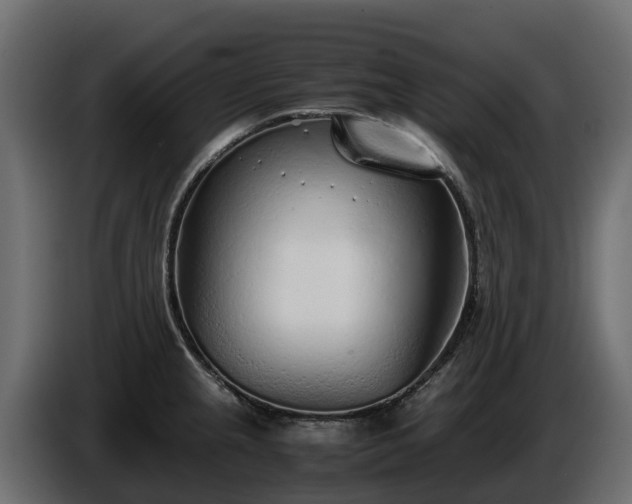 X0000085791237200703231301
