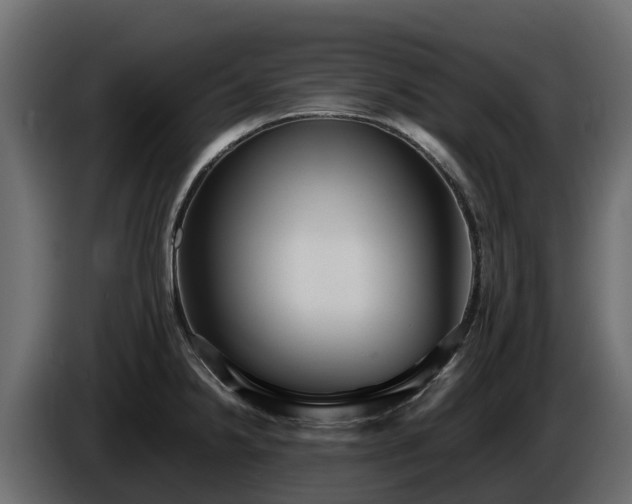 X0000085791238200703231301