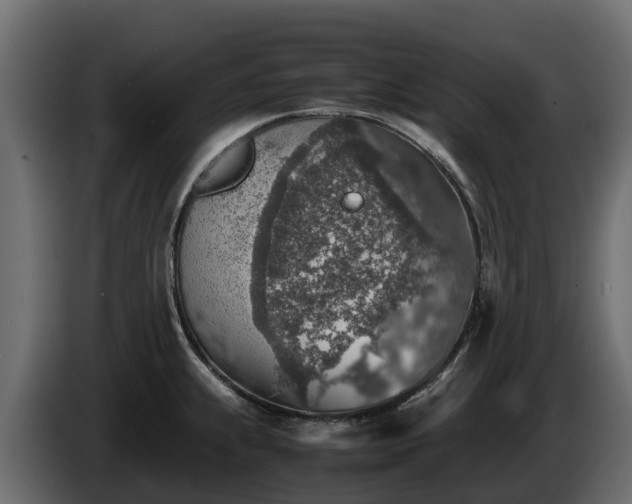 X0000085791239200703231301