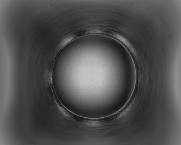 X0000085791241200703231301