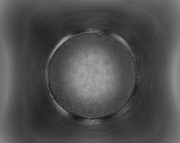 X0000085791243200703231301