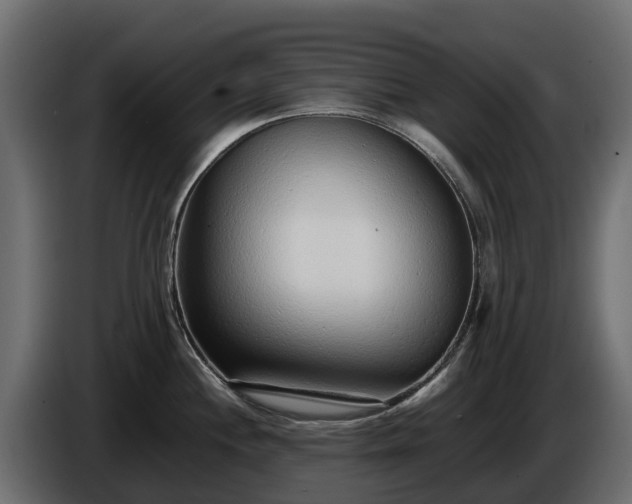 X0000085791244200703231301