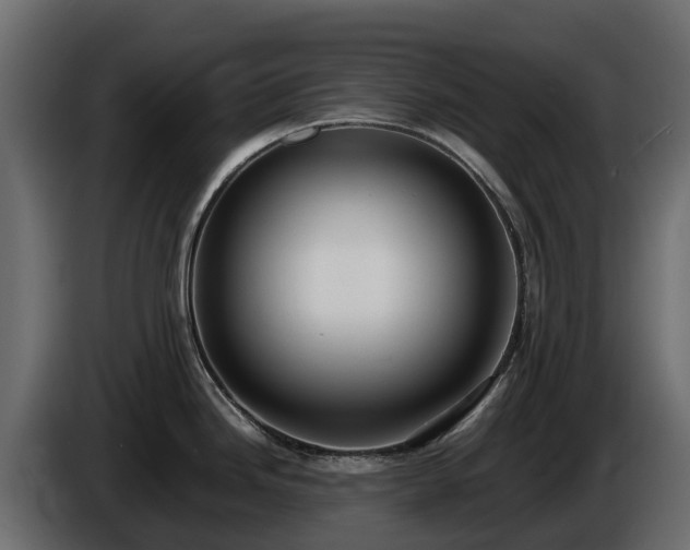 X0000085791246200703231301