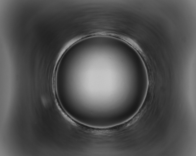 X0000085791247200703231301