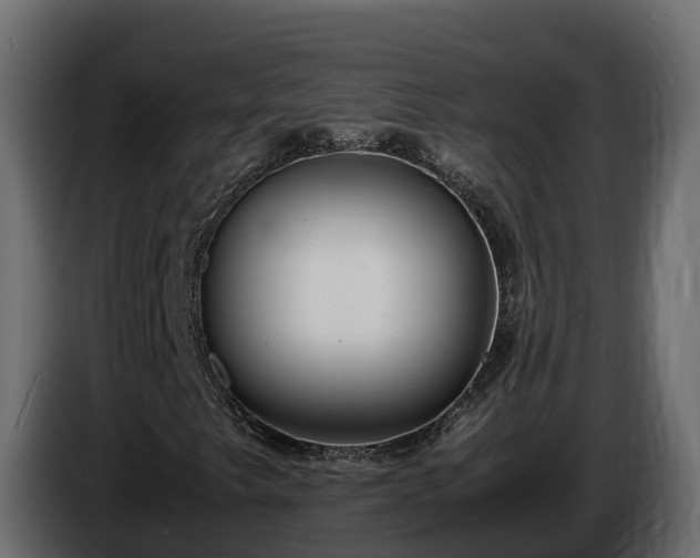 X0000085791249200703231300