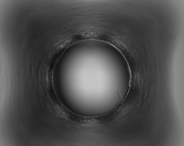 X0000085791250200703231300