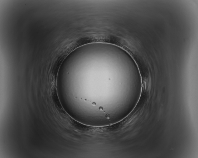 X0000085791251200703231300