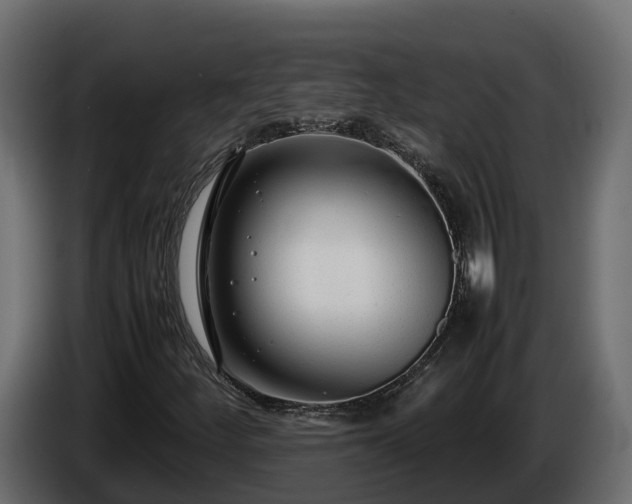X0000085791252200703231300