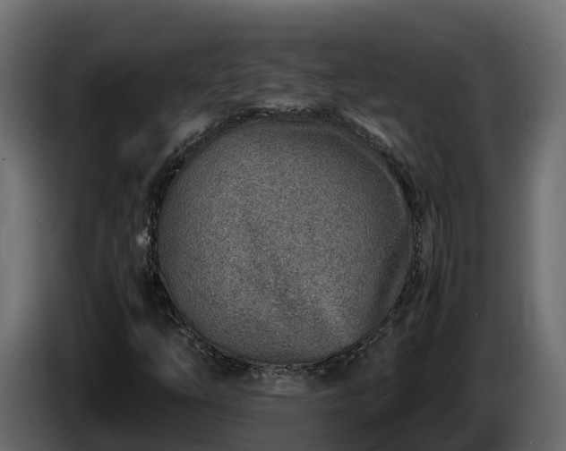 X0000085791254200703231300