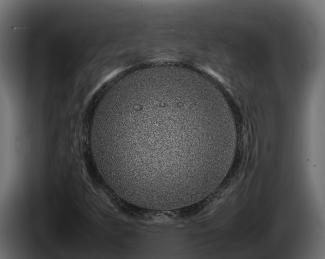X0000085791255200703231300