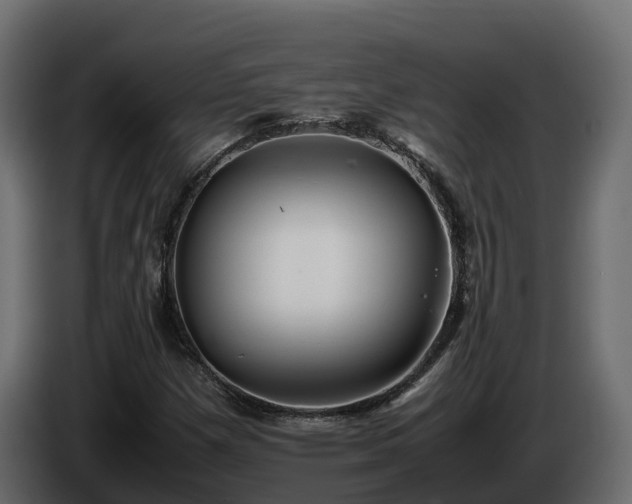 X0000085791257200703231300