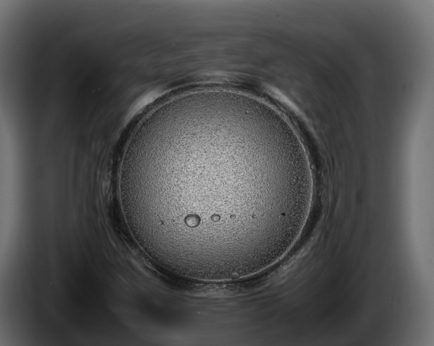X0000085791259200703231300