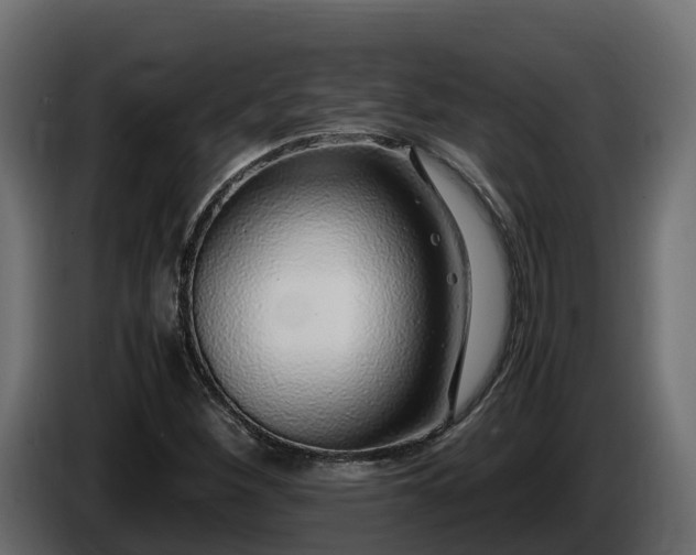 X0000085791260200703231300