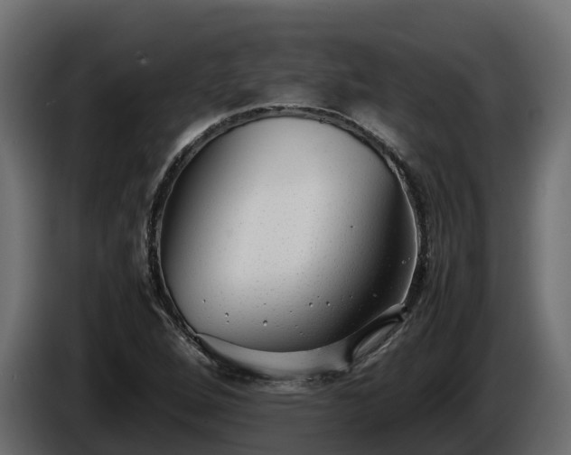 X0000085791264200703231300