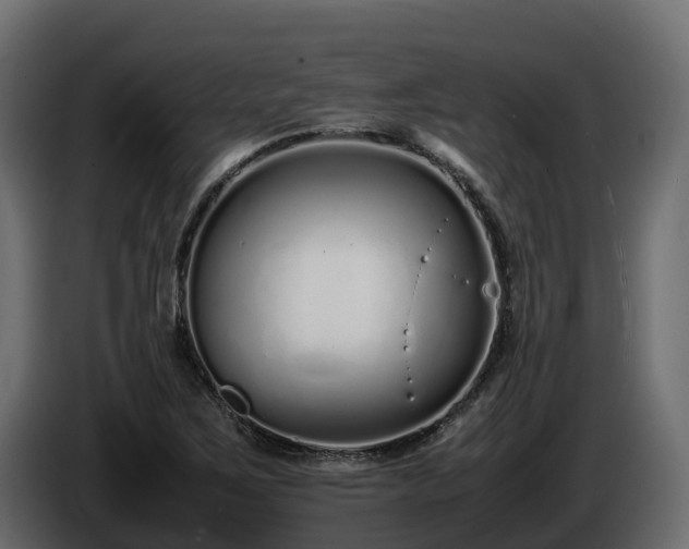 X0000085791267200703231300