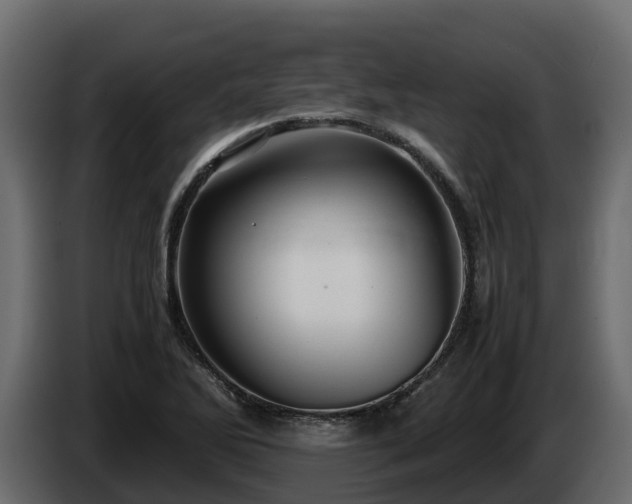 X0000085791270200703231300