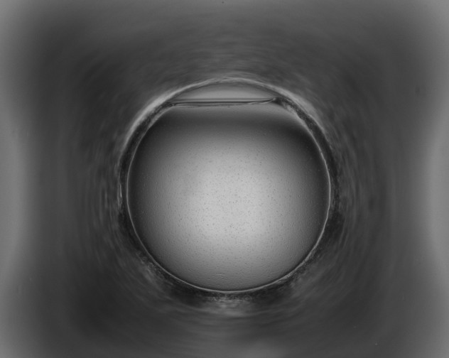 X0000085791271200703231300