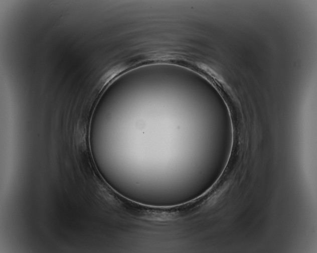 X0000085791273200703231300