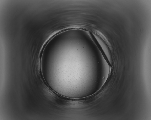 X0000085791276200703231300