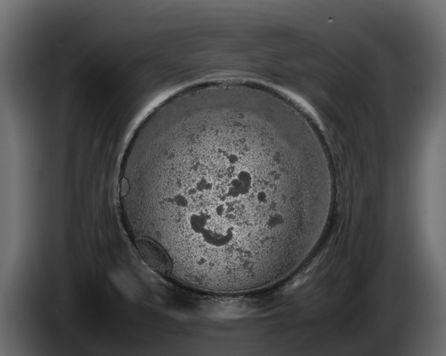 X0000085791279200703231300