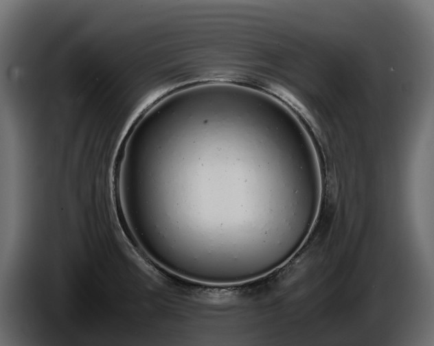 X0000085791283200703231300