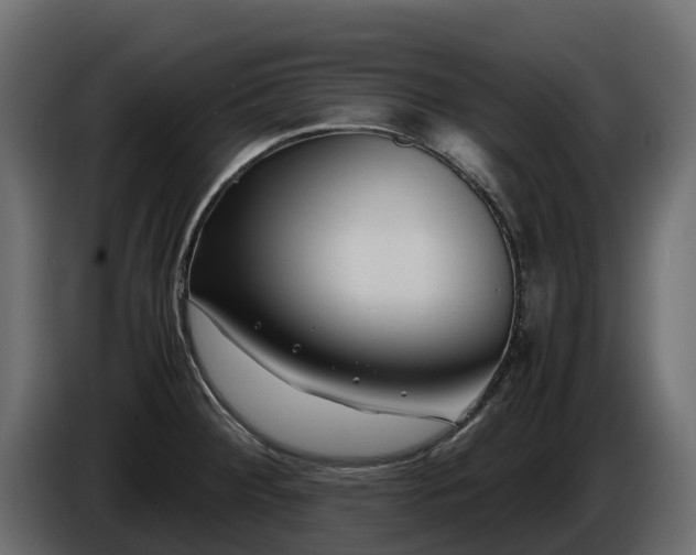X0000085791284200703231300