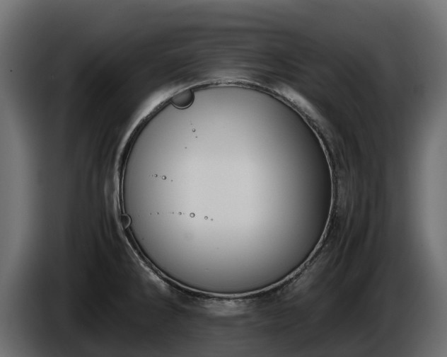 X0000085791286200703231259