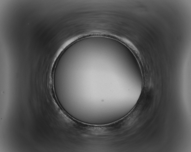 X0000085791287200703231259
