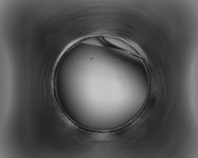 X0000085791288200703231259