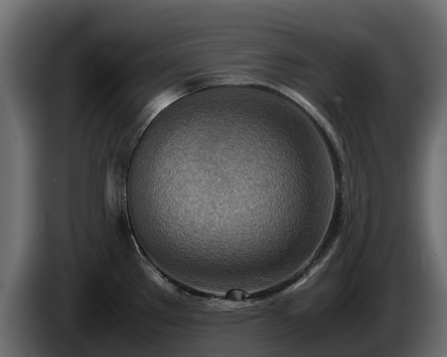 X0000085791289200703231259
