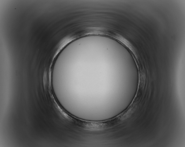 X0000085791290200703231259