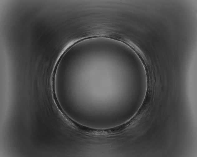 X0000085791291200703231259