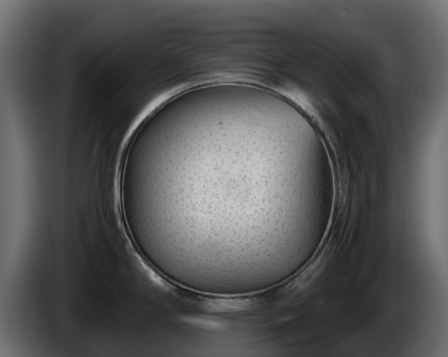 X0000085791294200703231259
