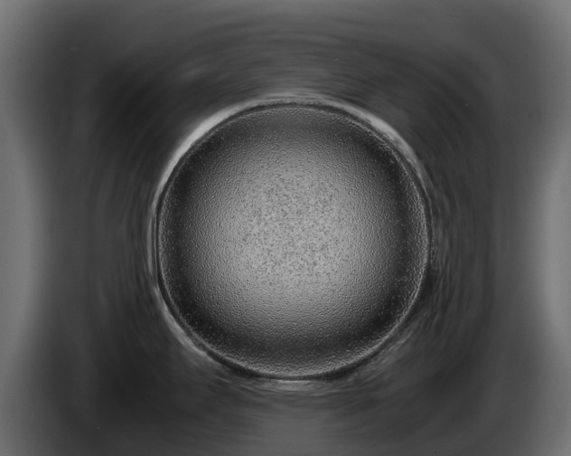 X0000085791295200703231259