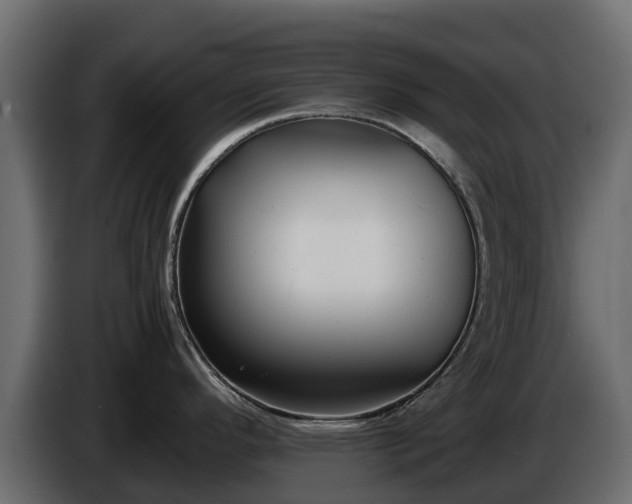X0000085791296200703231259