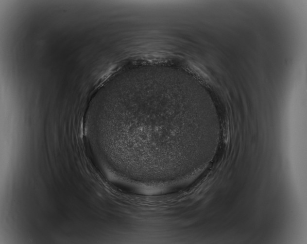 X0000085791298200703231259