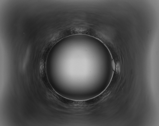 X0000085791299200703231259