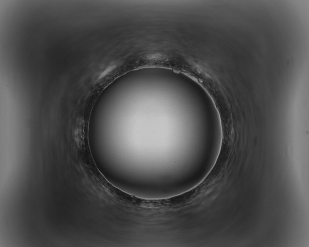 X0000085791301200703231259