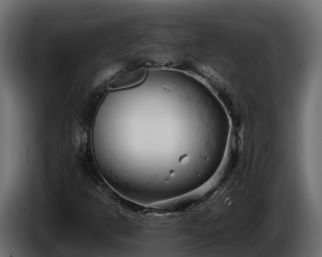 X0000085791302200703231259