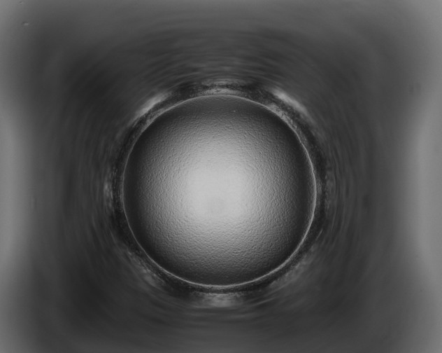 X0000085791305200703231259