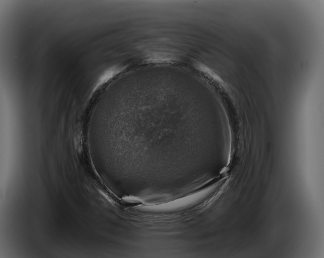 X0000085791306200703231259