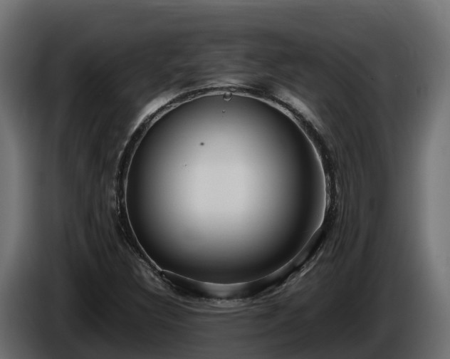 X0000085791308200703231259