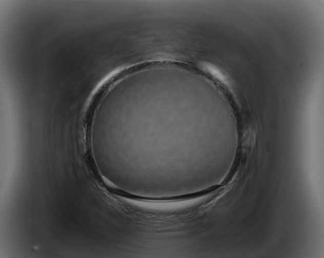 X0000085791310200703231259
